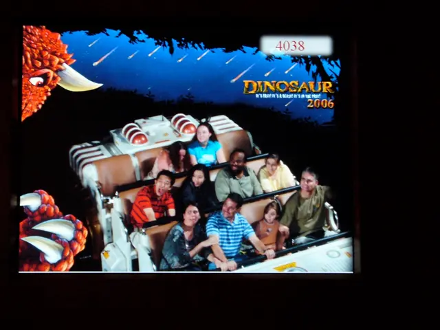 Veteran's Delight: A Spin on the Meow-themed Casino Game