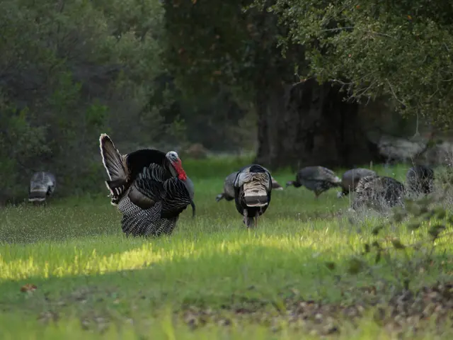 Finance Minister Simsek emphasizes disinflation's significance for prosperity, underlining the...